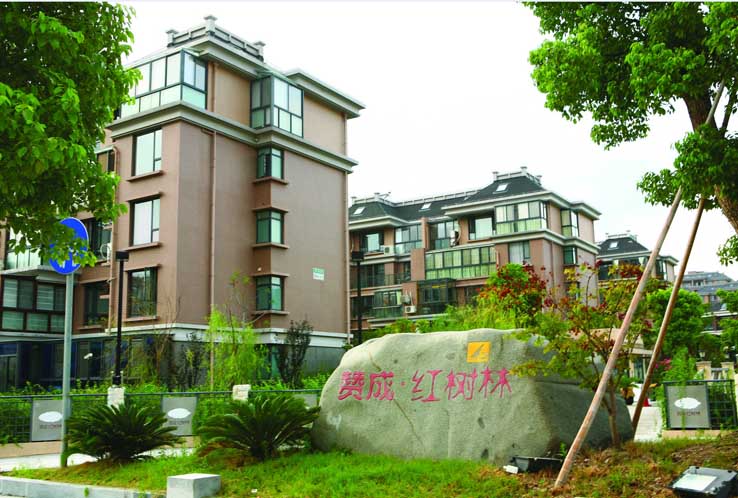 赞成红树林